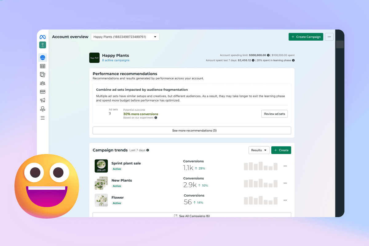 Ads Manager Account Overview